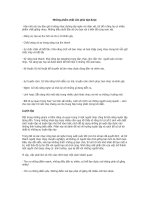 Vài nét về người chơi bass