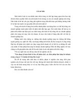 thực hiện chính sách kinh tế mới tại Việt Nam