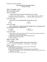 Kiểm tra HKII Hóa Học 9