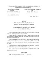 Mẫu quyết định về việc cho phép trả lại giấy phép thăm dò (khảo sát) hoặc 