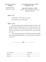 ĐỀ THI CHỌN HỌC SINH GIỎI CẤP TỈNH NĂM HỌC 2010-2011 MÔN NGỮ VĂN THPT – SỞ GIÁO DỤC VÀ ĐÀO TẠO LÂM ĐỒNG 