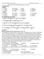 ĐỀ-ĐA TN ,ANH Quảng Nam (01)