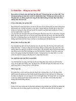 Là lãnh đạo - Đừng sợ sự thay đổi