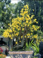 Axit - Bazo - muối