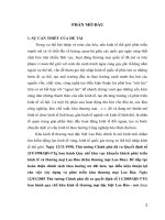 Hoàn thiện các giải pháp thu hút vốn đầu tư vào khu kinh tế thương mại đặc biệt lao bảo 