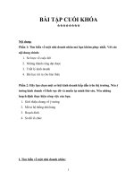 Hãy lựa chọn một cơ hội kinh doanh hấp dẫn trên thị trường. Nêu ý tưởng kinh doanh về lĩnh vực đó và muốn tự mình thử sức. Nêu những hoạch định thực hiện công việc của bạn.