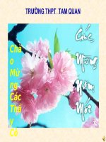 Hưng Đạo đại vương Trần Quốc Tuấn