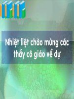 Tiết 52baif 47 Đại não -Thi GVDG TP