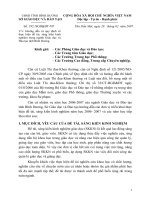 Hướng dẫn chấm SKKN