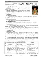 Tiết 38 Cảnh ngày hè