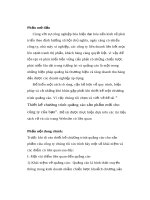 Tiểu luận về quảng cáo máy ảnh số Canon