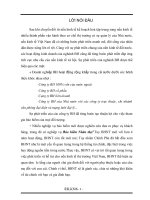 BHNT ở Việt Nam và phương hướng  triển khai