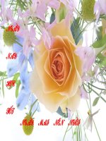 Ôn tập chương III - Thống kê