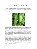 Trái khổ qua giúp giảm cân 