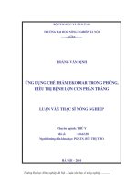 Ứng dụng chế phẩm ekodiar trong phòng, điều trị bệnh lợn con phân trắng 