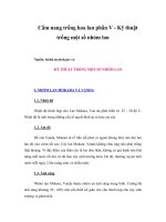 Cẩm nang trồng hoa lan phần v - kỹ thuật trồng một số nhóm lan 