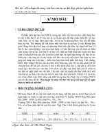 Sáng kiến kinh nghiệm Ngữ Văn 9