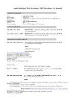 Mẫu hồ sơ dành cho lĩnh vực công nghệ thông tin 