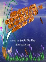 Kể chuyện tưởng tượng