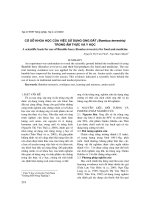 Cơ sở khoa học của việc sử dụng ong đất (Bombus terrestris) trong ẩm thực và y học