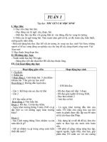 Giáo án TV lớp 5