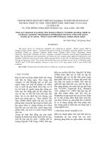 THÀNH PHẦN RUỒI BẮT MỒI HỌ Syrphidae ĂN RỆP MUỘI HẠI RAU HỌ HOA THẬP TỰ. ĐẶC TÍNH HÌNH THÁI, SINH HỌC CỦA LOÀI CLYTHIA SP. VỤ THU ĐÔNG NĂM 2005 Ở ĐẶNG XÁ - GIA LÂM - HÀ NỘI