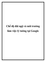 Chế độ đãi ngộ và môi trường làm việc lý tưởng tại google 