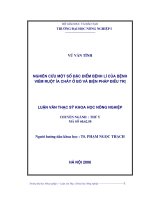 Nghiên cứu một số đặc điểm bệnh lí của bệnh viêm ruột ỉa chảy ở bò và biện pháp điều trị 