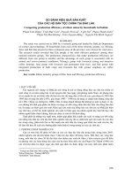 SO SáNH HIệU QUả SảN XUấT CủA CáC Hộ DÂN TộC CHíNH TạI ĐĂK LĂK