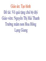 TAO HINH