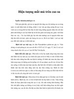 Hiện tượng mất mủ trên cao su 