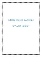 Những bài học marketing từ arab spring 