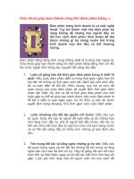 Chìa khóa giúp bạn thành công khi dàm phán bằng TA