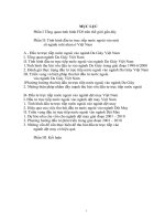 Triển vọng và biện pháp thu hút đầu tư nước ngoài  vào ngành Da Giày Việt Nam