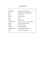 Một số giải pháp tài chính nâng cao hiệu quả xuất khẩu hàng hoá tại Công ty SX- DV & XNK Nam Hà Nội