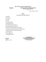 MẪU ĐỀ ÁN THỰC HIỆN HOẠT ĐỘNG ĐỐI NGOẠI