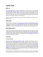 Người Thái ở Việt Nam