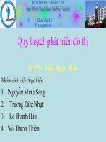 quy hoạch TP Cao Lãnh
