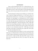 “ lý luận về CCĐT, thực trạng CCĐT ở nước ta và từ đó đưa ra một số giải pháp nhằm điều chỉnh và xây dựng CCĐT ngày càng hợp lý hơn.”