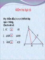qh giua goc va canh doi dien trong tam giac.ppt