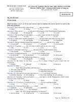 Đê Thi T.Anh TN-THPT-09_m195