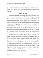 GIẢI PHÁP NÂNG CAO SỨC CẠNH TRANH SẢN PHẨM CAO SU TRONG THỜI KỲ HỘI NHẬP CỦA VIỆN NGHIÊN CỨU PHÁT TRIỂN KINH TẾ.