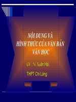 noi dung va hinh thuc cua van ban van hoc