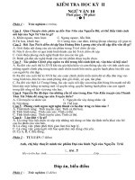 Đề thi học kỳ II - văn 10