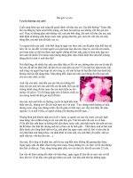 Thư gửi vợ yêu