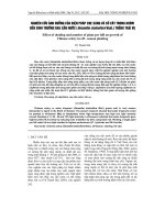 NGHIÊN CứU ảNH HƯởNG CủA BIệN PHáP CHE SáNG Và Số CÂY TRONG KHóM ĐếN SINH TRƯởNG RAU CầN NƯớC (Oenanthe stolonifera Wall.) TRồNG TRáI Vụ