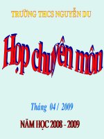 kế hoạch họp chuyên môn 4/2009