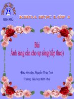 Ánh sáng cần cho sự sống - TNXH 4