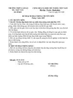 Kế hoạch hoạt động tháng 5/2009