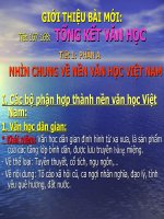 Ngu van 9 -  Tong ket van hoc